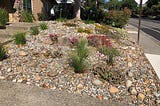 Xeriscape: An Alternative to Grass Lawns in a Drought-Stricken State