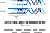 Variation in the Genome