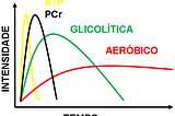 METABOLISMO — O que isso significa e como isso se aplica no treinamento físico?