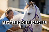 Female Horse Name Ideas