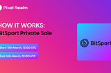 BitSport Private Sale on PixelRealm — How it Works