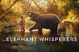 Film review- The Elephant Whisperers