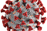 Building an understanding of viruses by mining COVID-19 scientific corpus