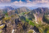 Guardians of the glades: protecting Europe’s forests against climate change