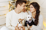 A straight couple dressed in white, in a white room with a snow-dusted Christmas tree, each holding a silly little dog dressed in nice clothes. The couple stares intently at each other and not the dogs.