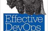 DevOps the New View