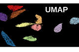 UMAP Variance Explained