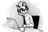 IT helpdesk cat in headphones seated at a desk with a laptop and cup of coffee.