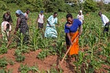 Solutions for Africa’s Food Security Crisis: Farmer-Led Regenerative Agriculture