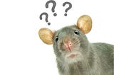 Let me explain the rat in the freezer…