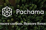 Welcoming Pachama to the PLUS Collective