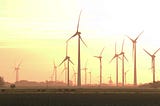 Utter folly. UK’s expansion of wind farms could lead to ecological disaster.