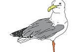 Drawing of a seagull with one leg.