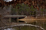 A view of the bridge, surrounded by tree branches and leaves out of focus in the foreground.