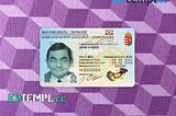 Hungary ID card editable PSD files, scan and photo taken image, 2 in 1