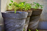 Water Reuse for Gardeners