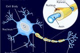 MAKING COMPUTERS THAT THINK LIKE HUMAN BEINGS : NEURAL NETWORKS & TENSORFLOW