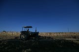 Hit by drought, Italy’s agricultural heartland feels the heat