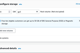 Termination Protection of the EC2 instance