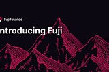 Fuji Finance — is a money market aggregator with multiple chains.