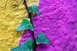 What is Neuro Resilience?