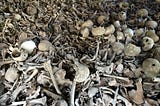 Resurrection After Death (2): How Easy is It?