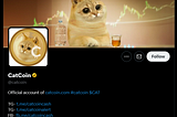 How to Create and Launch a Meme Coin in less than 0.35 SOL