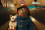 paddington bear screenshot from a movie