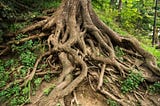 Death by loss of ancestors