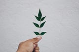 Embracing Minimalism: A Path to Clarity, Purpose, and Freedom