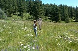 The author, Megan, in a mountain meadow holding a butterfly net