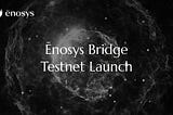 Enosys Bridge Guide