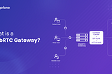 Navigating the WebRTC Gateway: Essential Insights