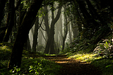 Enchanted Forest, Lincoln City, Oregon