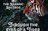 Adventures in the Akasha: Through the Eyes of a Tiger