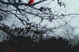 “The Red Witness”