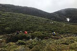 Finding the Why in Hiking the Heysen
