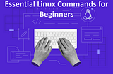 Essential Linux Commands for Beginners