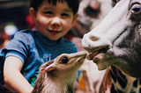 An AI generated image of a smiling boy at a petting zoo at an alien county fair — two friendly looking unknown animals are in the foreground