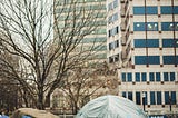 State of Two Homeless Problems in the USA