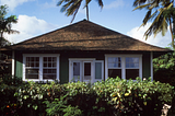 Green, wood house with palm trees and tropical plants