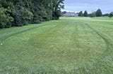 July Heat! Summer Bent Decline, Peak Disease Pressure, 1st Fairy Ring and Brown Patch Research
