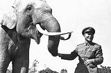 Ah Mei: the Elephant That Served in War