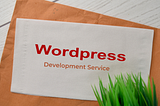 WordPress Plugin Development Services