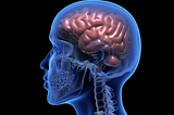 Brain Health Optimization Secrets
