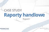 Case Study Raporty handlowe Raport+ dla Kaczmarski Group