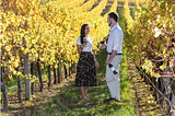 Best Wine Tours In The Barossa Valley