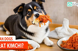 Can Dogs Eat Kimchi? Comprehensive Guide