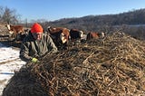 Farmers Are Milking an Appetite for American Hay