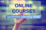 SailPoint Identity Now Training: Empower Your Career with Identity Governance and Administration